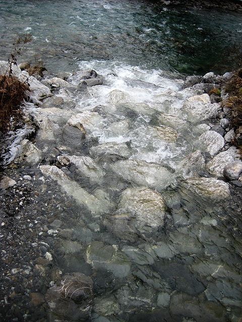 Saanen - (Schweiz)