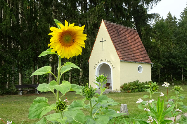 Schierling, Capelle St. Georg (PiP)