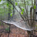 Spinnennetz - nicht schön aber zweckmäßig