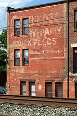 WN Potter's Sons ghostsign 1