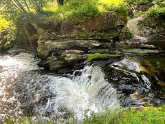 DE - Trimbs - Nette-Wasserfall