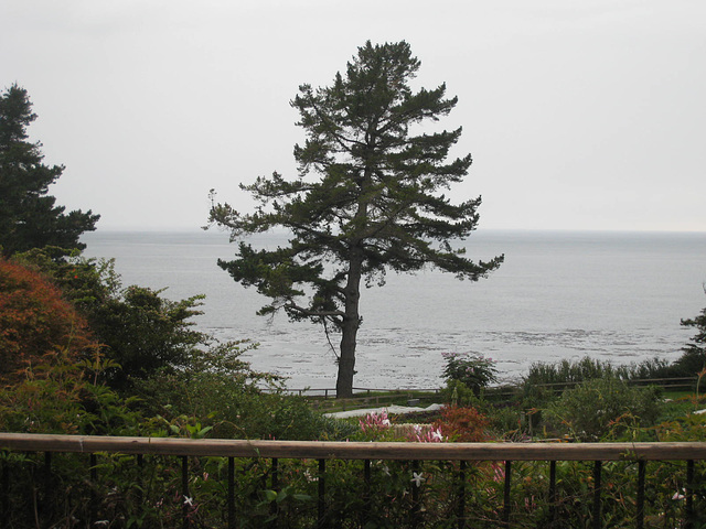 Esalen