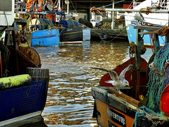 North Shields Fishquay