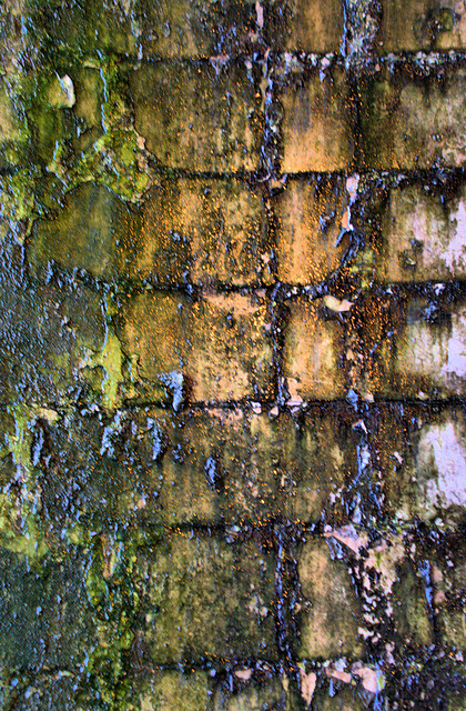 Under The Railway Bridge