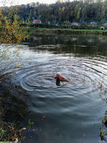 Bad in der Elbe