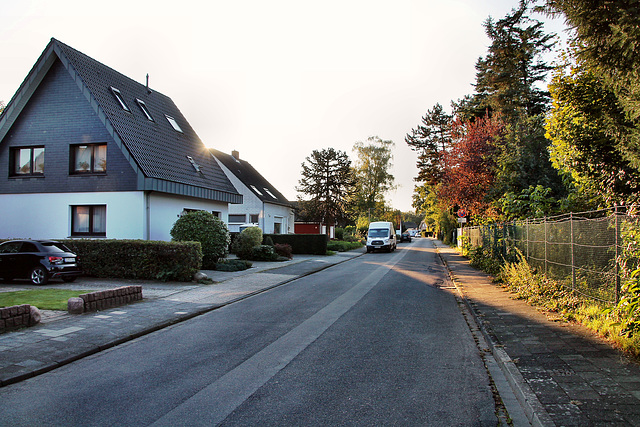 Poststraße (Voerde-Friedrichsfeld) / 5.10.2024
