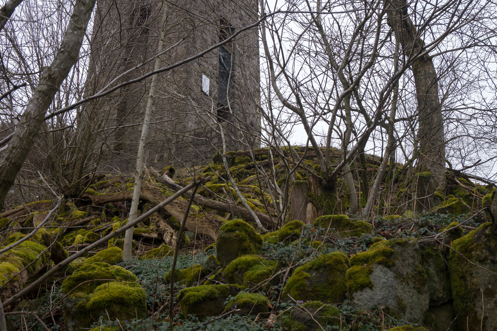 Eifel - Hohe Acht DSC00195