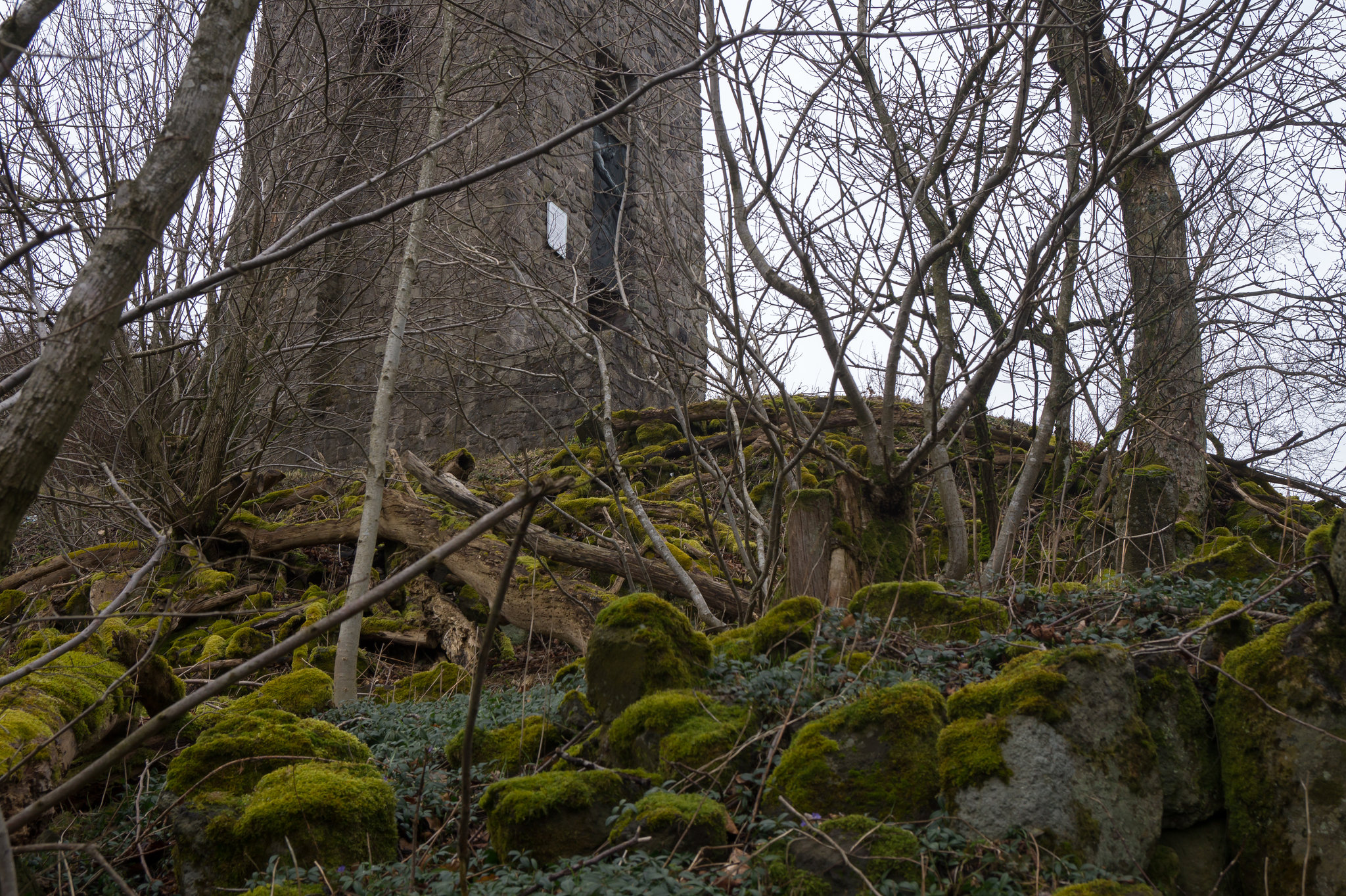 Eifel - Hohe Acht DSC00195