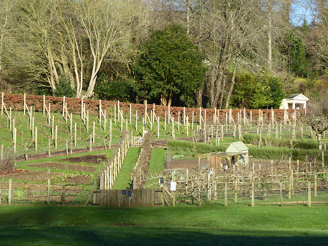 Painswick Rococo Garden (30) - 19 January 2020