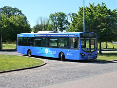 Whippet Coaches WG110 (BT66 MVJ) - 16 Jun 2021 (P1080614)