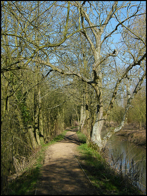 Fiddler's Island path