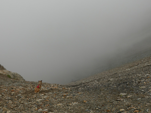 20250906 -12 Saint Colomban des Villards (Savoie) (273) 20250906 -12 Saint Colomban des Villards (Savoie) (273)