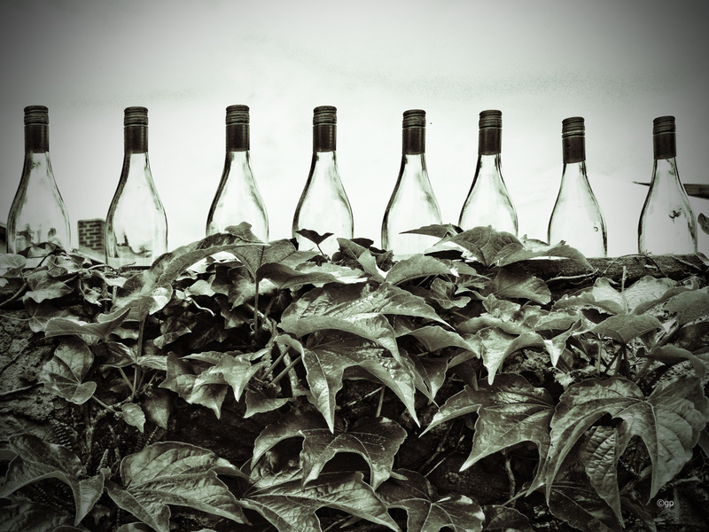 Wine Farmer's Fence