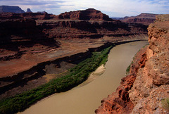 Brown Colorado