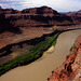 Brown Colorado