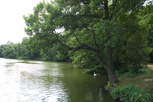 Im Arboretum Trostjanez