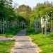 West Kirby footpath with planted apple trees.