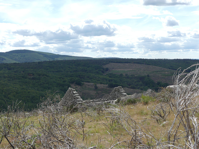 20170811 -16 Randos solo Lozere Finiels (139) al