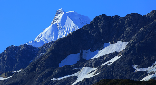 Glacier Bay Favorites43