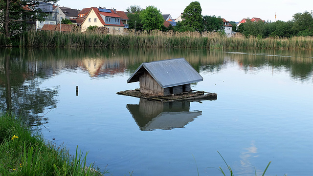 HFW - Karpfenweiher in Franken (+ 1 PiP)