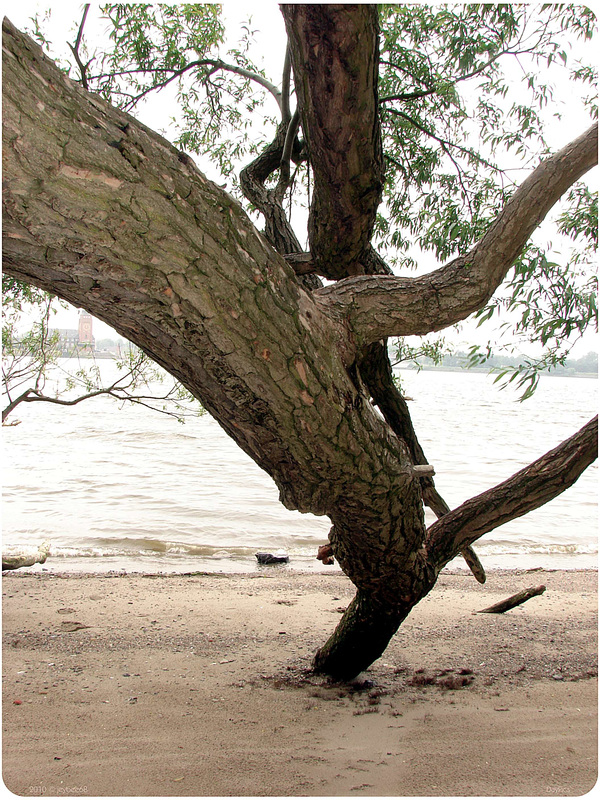 Am Elbufer / On the banks of the Elbe