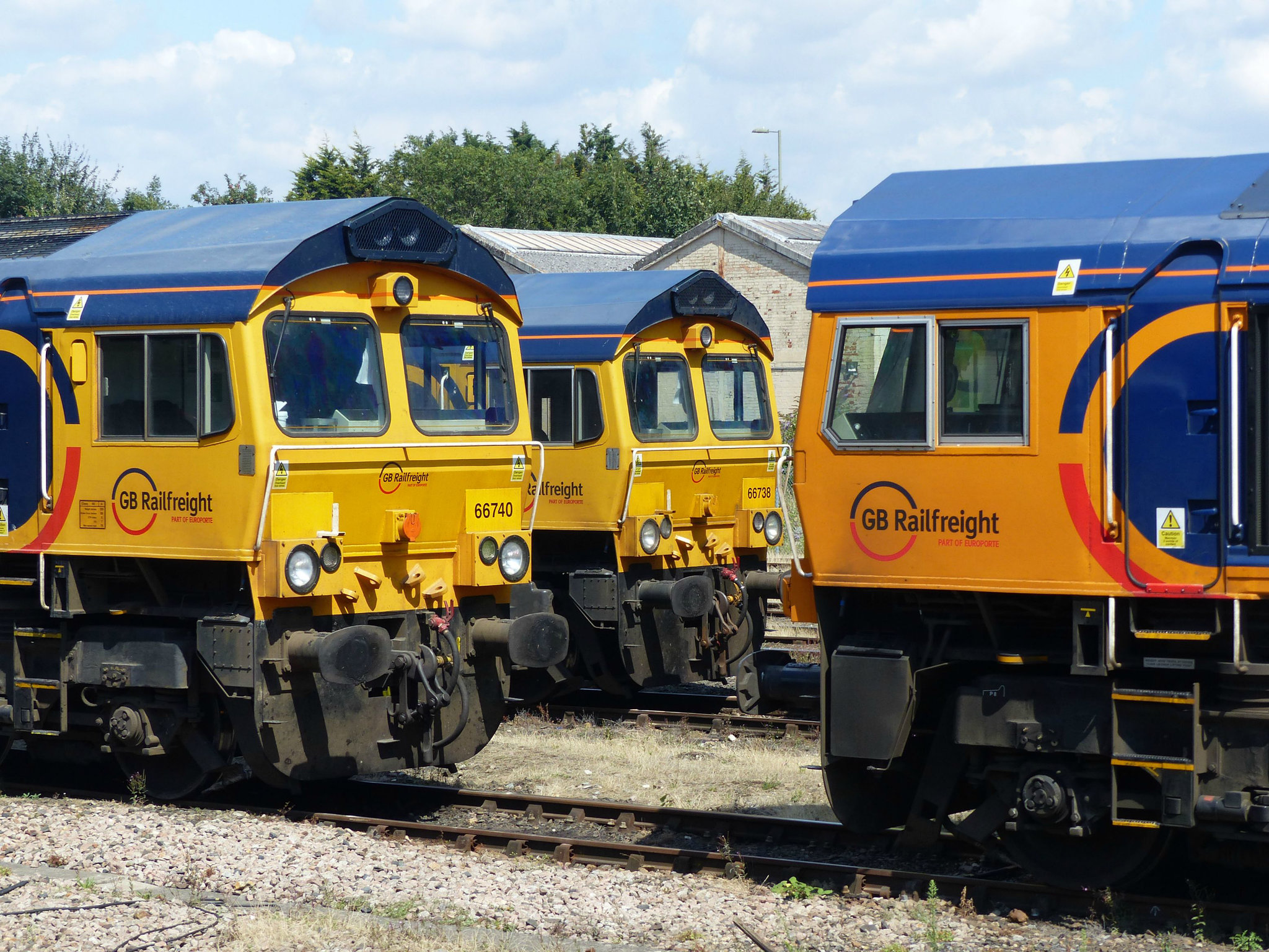 A Weekend Trio (2) - 8 August 2015