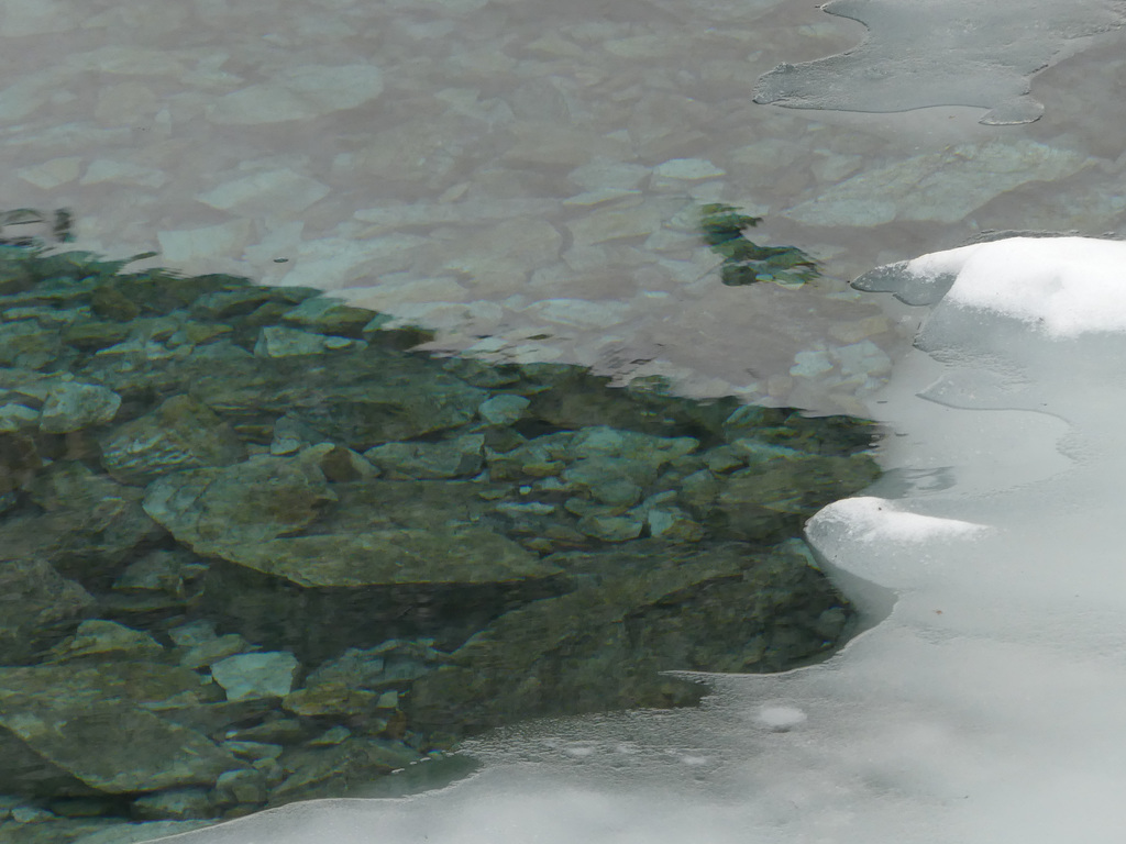 20160611 -18 Rando Meribel Les allues Jour2 Lac Bleu (48)