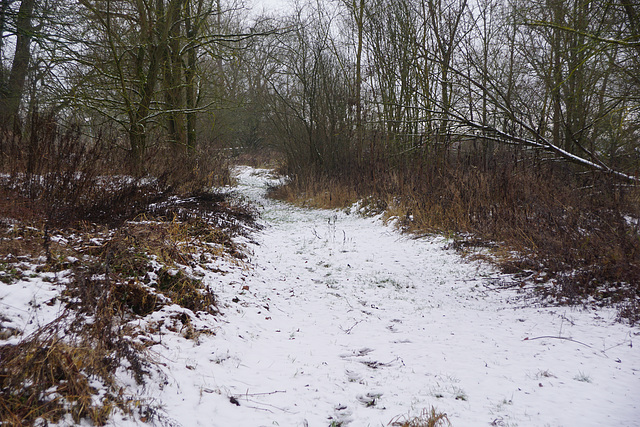 Winterlicher Weg an der Sieber