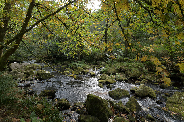 A walk in Hardcastle Crags