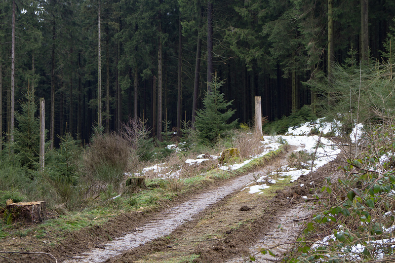 Eifel - Hohe Acht DSC00179