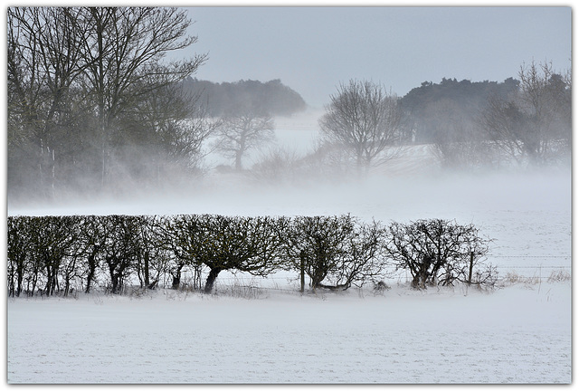 Cold Easterly Winds Continuing....