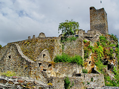 Manderscheider Niederburg