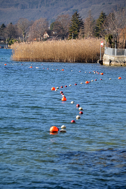 Markierungsbojen beim Freibad in La Neuveville