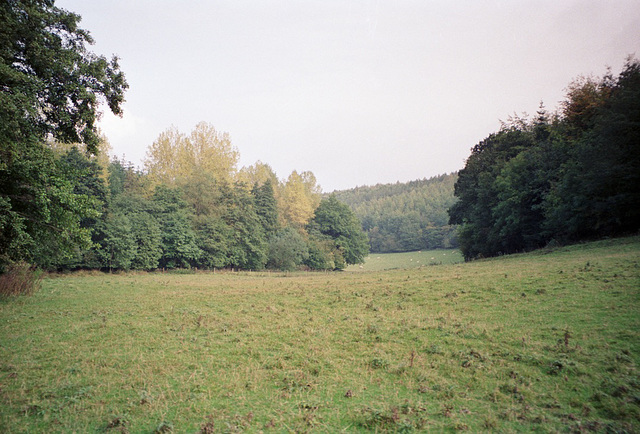 Looking towards Bear’s Wood with Wooshut’s Wood to the left (Scan from 1991)