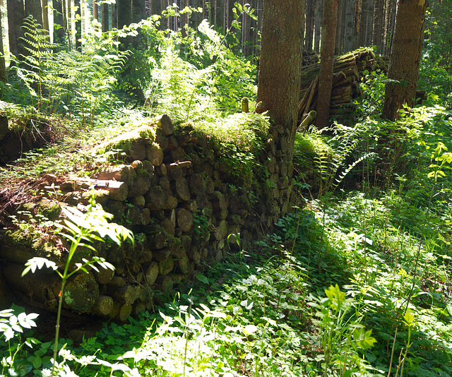 Vergessener Holzstapel