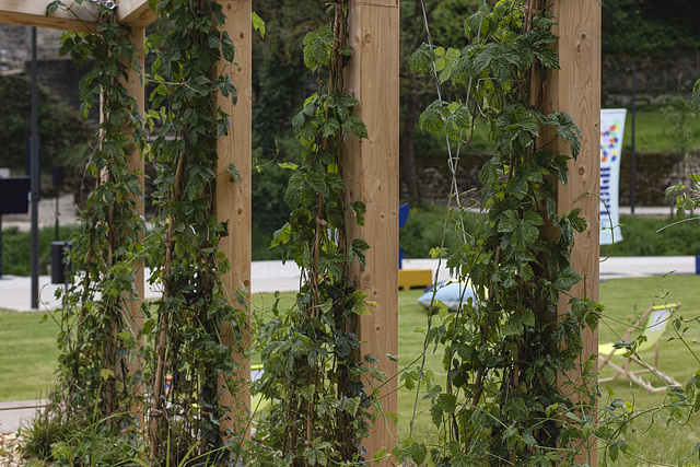 LUGA 2025 Eröffnung LUGA 2025 Eröffnung