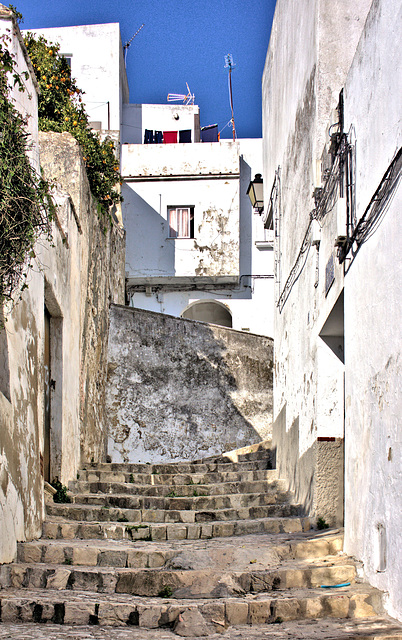 Alcalá de los Gazules