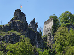 Burgruine Tachenstein