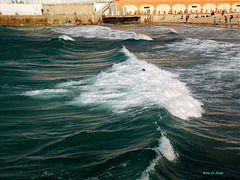 Porté par la vague !