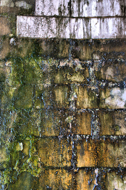 Under The Railway Bridge