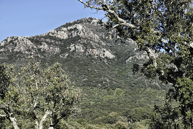 Área recreativa el Picacho – Alcalá de los Gazules, Cádiz Province, Andalucía, Spain