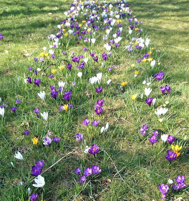 Es frühlingt.