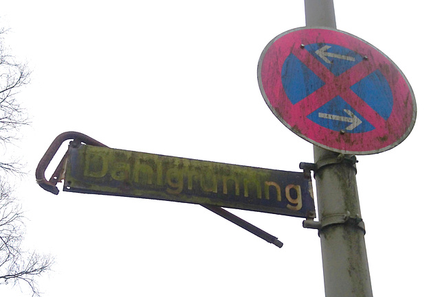 Dahlgrünring