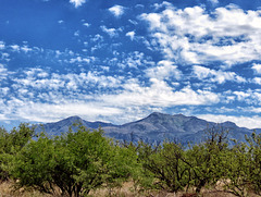 Miller & Carr Peaks