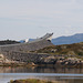 The Atlantic Road