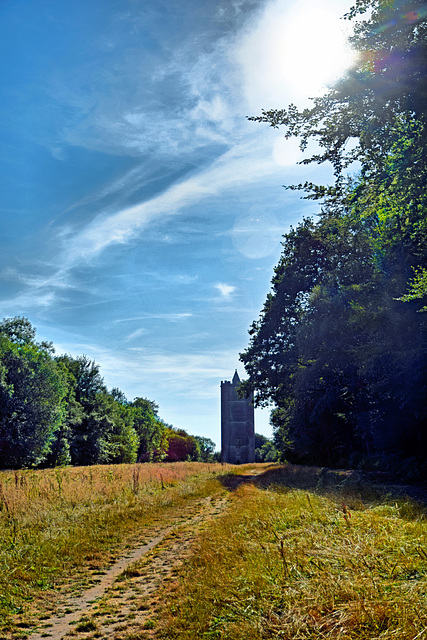 King Alfred's Tower (1)