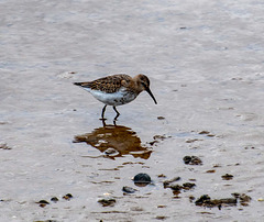 West Kirby