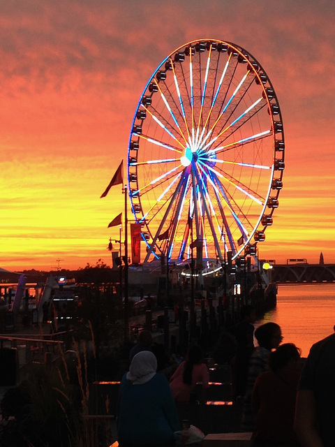 National Harbor Wheel