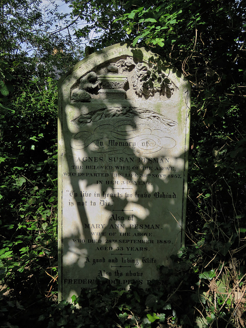 abney park cemetery, london,agnes susan pesman, 1857  , from dunkley's workshops