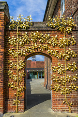 Gilded Pear Tree Entrance